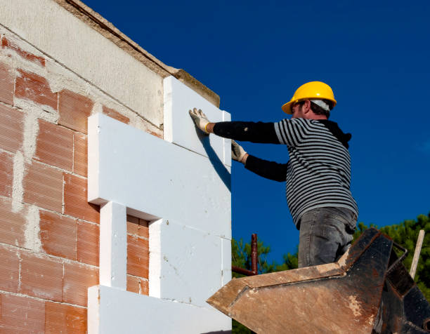 Best Geographic-Specific Insulation Services in Park City, MT